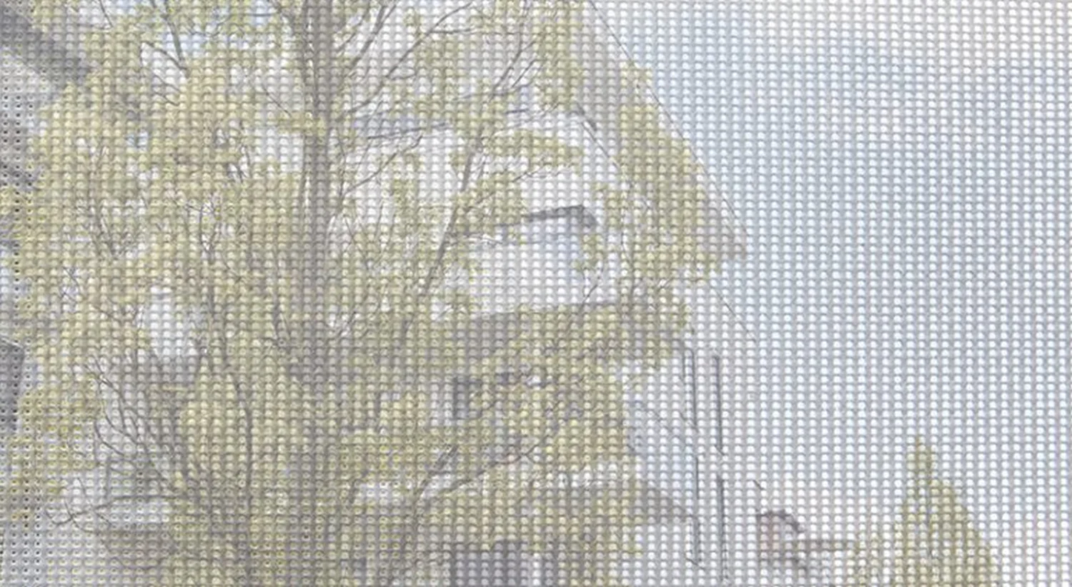 Gewebe Eder Fenster + Türen